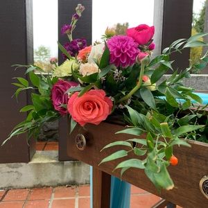 Lindseyrylan’s bundle